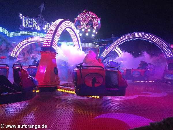 der polyp